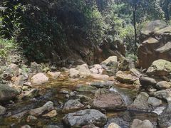 -南海湾森林生态园