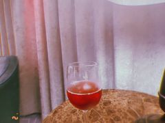-沈阳丽都酒店
