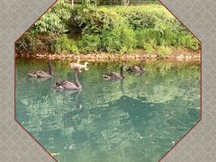 -长白岛森林公园