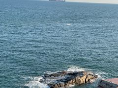 -小麦岛公园
