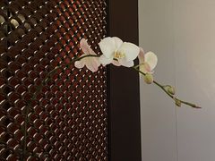 -上海璞麗酒店