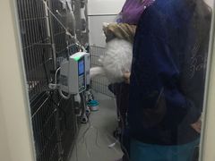 -中农国际动物医院24小时·猫科·骨科·急重症中心