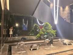 -金汇酒楼(中山东区店)