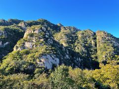 -大岭沟猕猴桃谷风景区