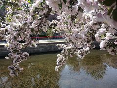 -海棠花溪(元大都城垣遗址公园)