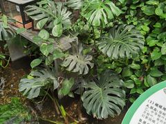 -上海大自然野生昆虫馆(东方明珠·爬宠昆虫探索中心)