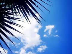 -达美国际游泳馆