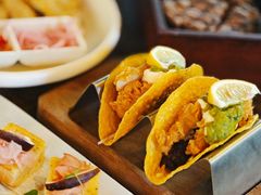 -Famous肥猫墨西哥音乐餐吧(五棵松华熙LIVE店)