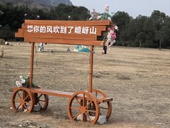 -嵖岈山风景区