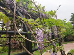 -府河摄影公园
