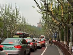 -家烧面馆【南山路知名经典面食】