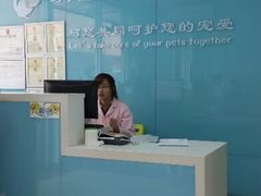 前台-纳吉亚猫专科动物诊疗中心(蒋宅口分院)