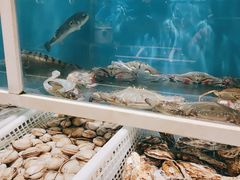 水产区-泰白海鲜烧烤大全