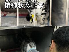 -成都民大动物医院