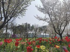 -苏州上方山国家森林公园