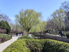 -元大都城垣遗址公园