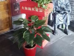 -大海碗·炸酱面·烤鸭·京菜(天坛店)