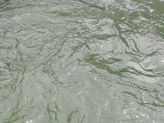 -仁爱团泊湖温泉中心
