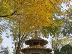 -玲珑塔公园