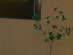 -金色印象·HiFi影音·按摩足疗PLUS(黄泥磅店)
