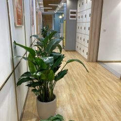 点击看大图 -小阿福儿童摄影(华中智谷店)