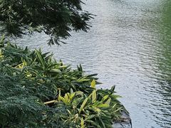 -东山湖公园