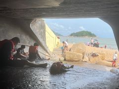 -海角城白海豚浪漫海滩