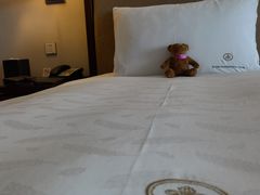 -惠州康帝国际酒店