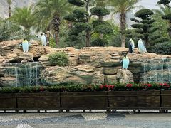 -帝企鹅自助餐厅•儿童岛•真企鹅(长隆企鹅酒店)