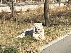 -太原动物园
