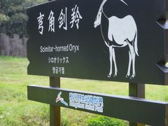 -杭州野生动物世界