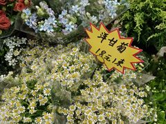 -永旺梦乐城(武汉金桥店)