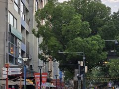 -Peet's Coffee皮爷咖啡(大学路店)