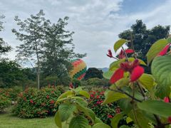 -中国科学院西双版纳热带植物园
