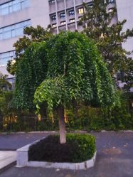 -弗蕾亚·和月月子调理院(东湖店)