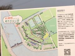 -长洲岛都市农业公园