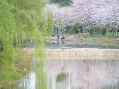-堤角公园