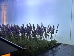 -上足·影院足道·SPA(红岭店)