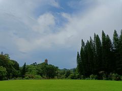 -深圳仙湖植物园
