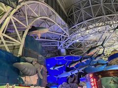 -烟台海昌鲸鲨海洋公园