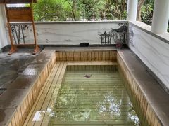 -深业半汤御泉庄温泉
