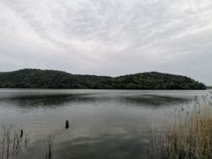 -南京市无想山景区