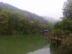 -洪崖丹井