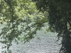 -楠溪江风景名胜区