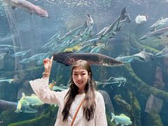 -哈尔滨波塞冬海底世界