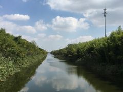 -黄海国家森林公园