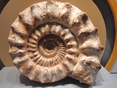 -湖南省地质博物馆