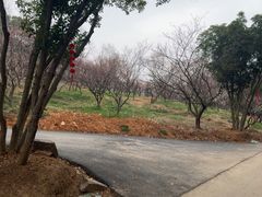 -无锡梅园公园