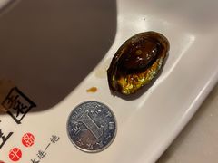 酱焖小鲍鱼-日丰园海肠水饺·老字号大连海鲜(和平广场店)