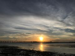 -宝安西湾红树林湿地公园